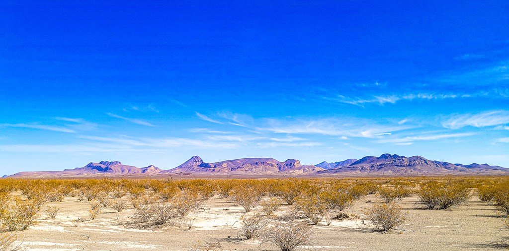 16402 Comanche Prairie, Terlingua, Texas image 4