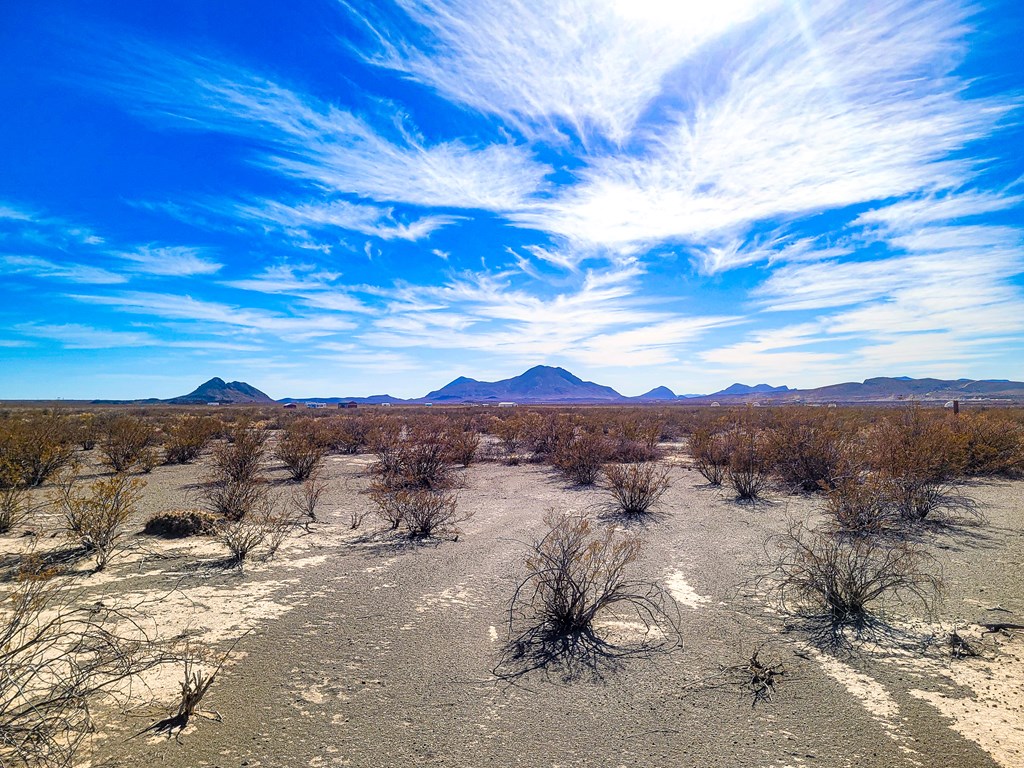 16402 Comanche Prairie, Terlingua, Texas image 3