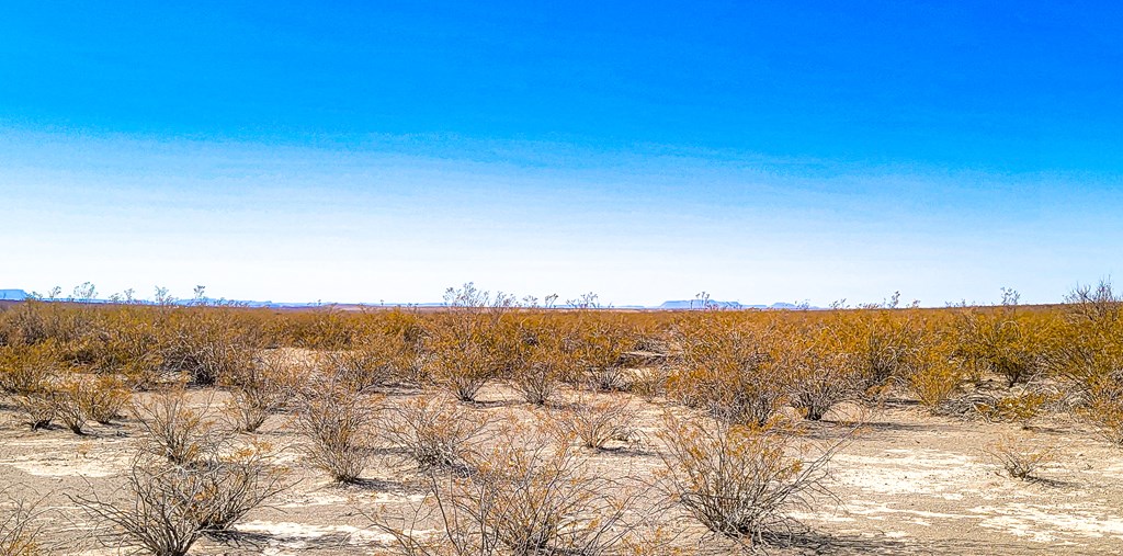 16402 Comanche Prairie, Terlingua, Texas image 8