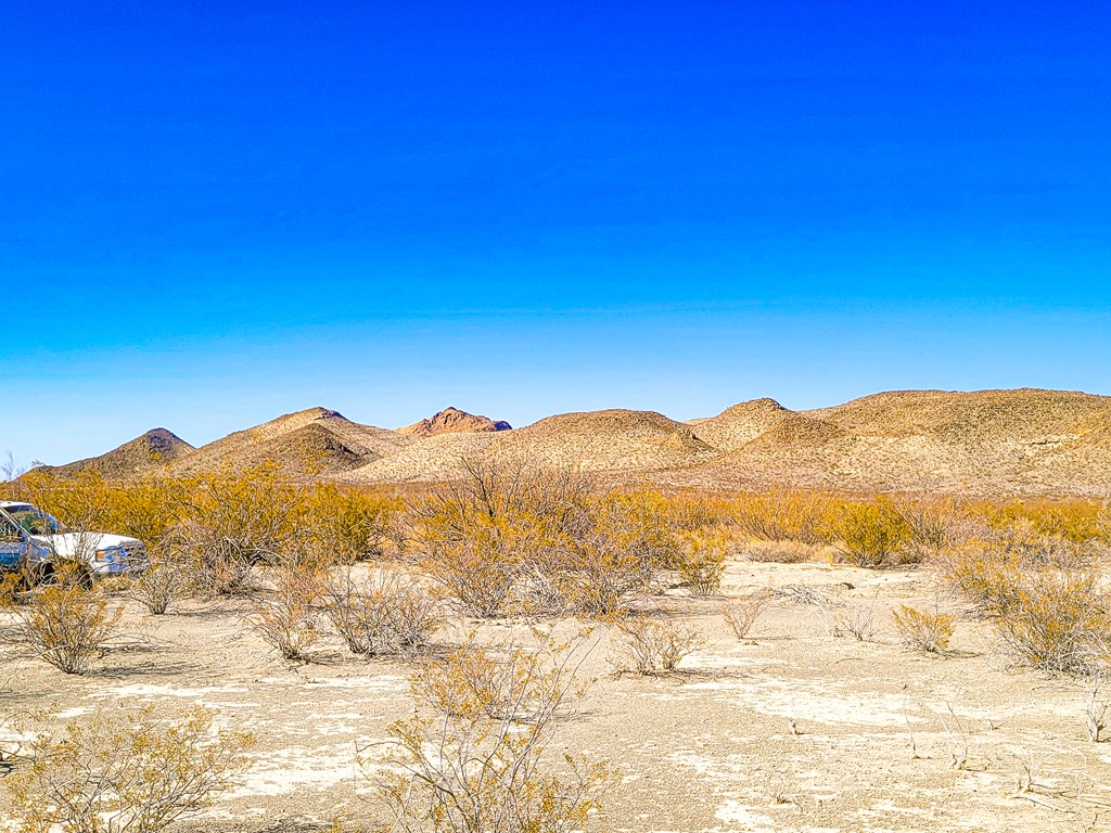 16402 Comanche Prairie, Terlingua, Texas image 2