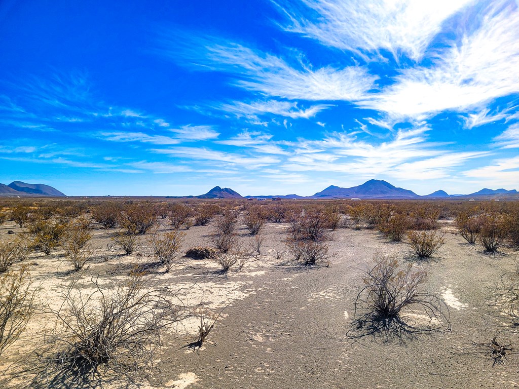 16402 Comanche Prairie, Terlingua, Texas image 11