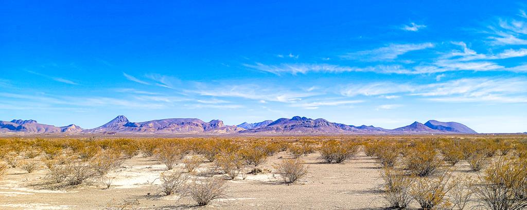 16402 Comanche Prairie, Terlingua, Texas image 1