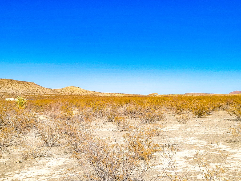 16402 Comanche Prairie, Terlingua, Texas image 6