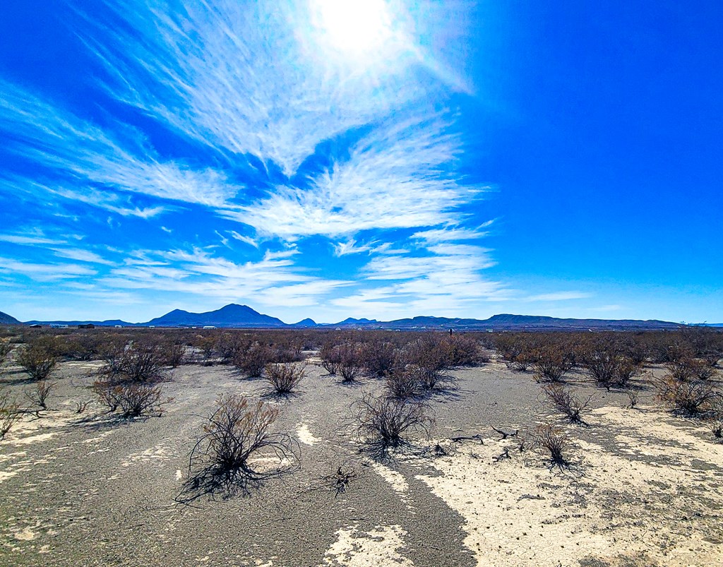 16402 Comanche Prairie, Terlingua, Texas image 10