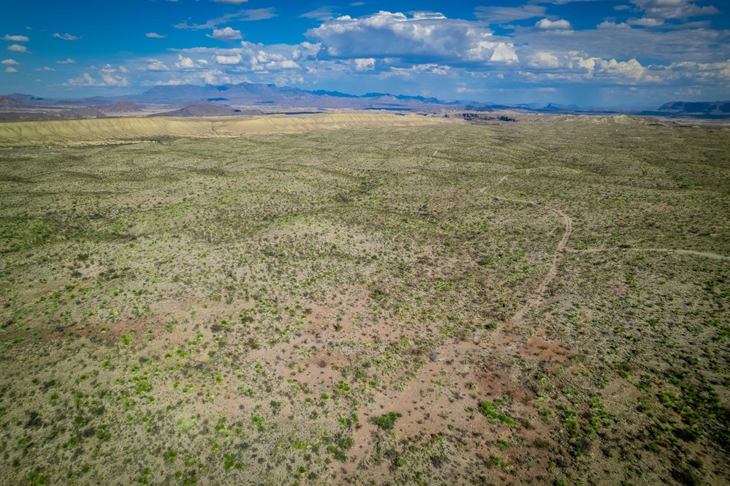 351 Black Mesa East, Terlingua, Texas image 20