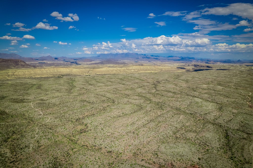 351 Black Mesa East, Terlingua, Texas image 7