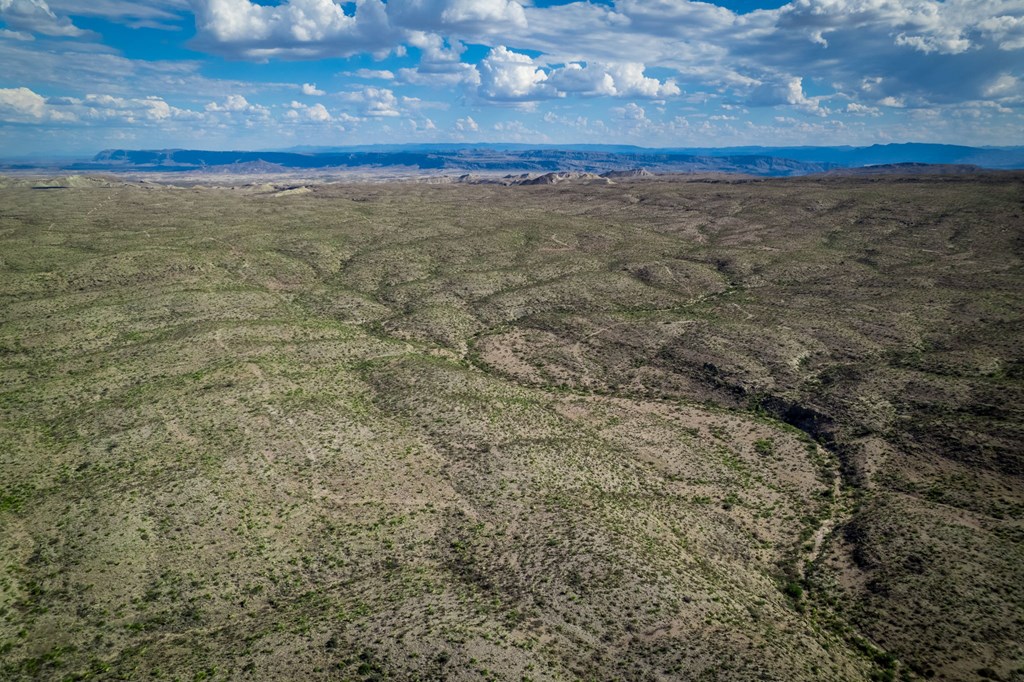 351 Black Mesa East, Terlingua, Texas image 18