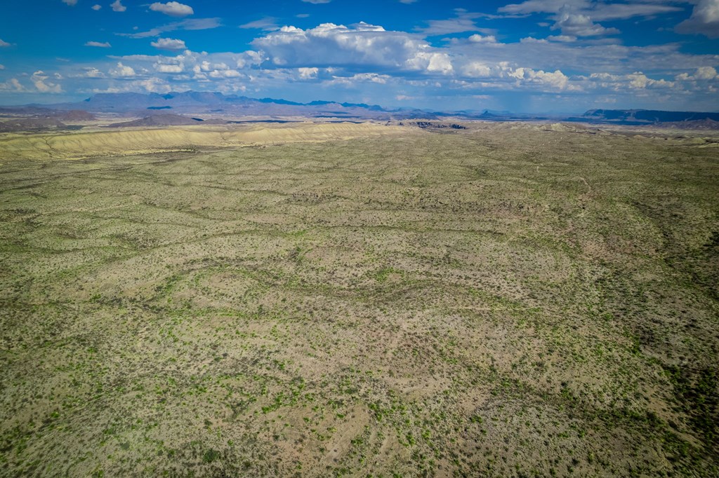 351 Black Mesa East, Terlingua, Texas image 19