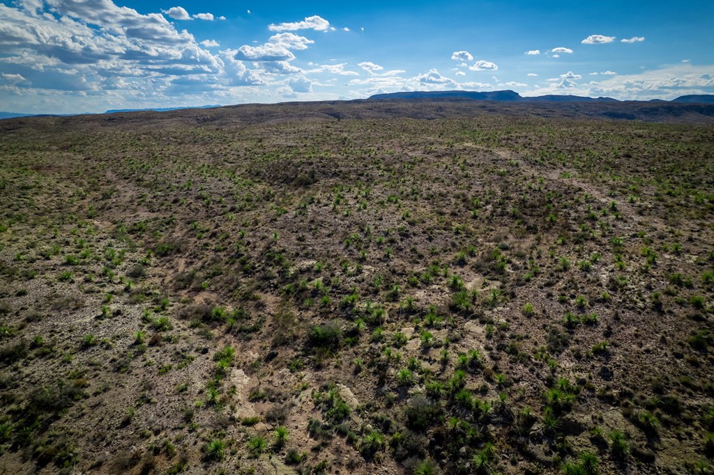 351 Black Mesa East, Terlingua, Texas image 23