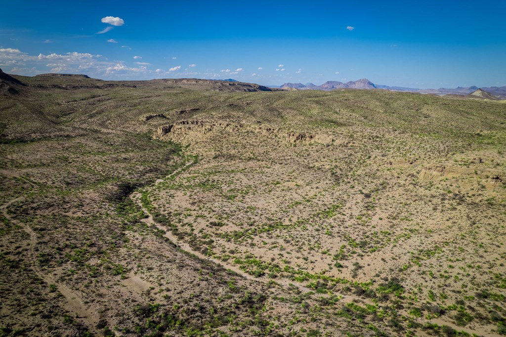 351 Black Mesa East, Terlingua, Texas image 10