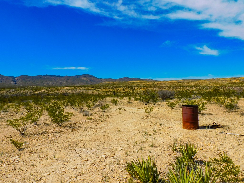 145 Blue Ridge Rd, Terlingua, Texas image 41