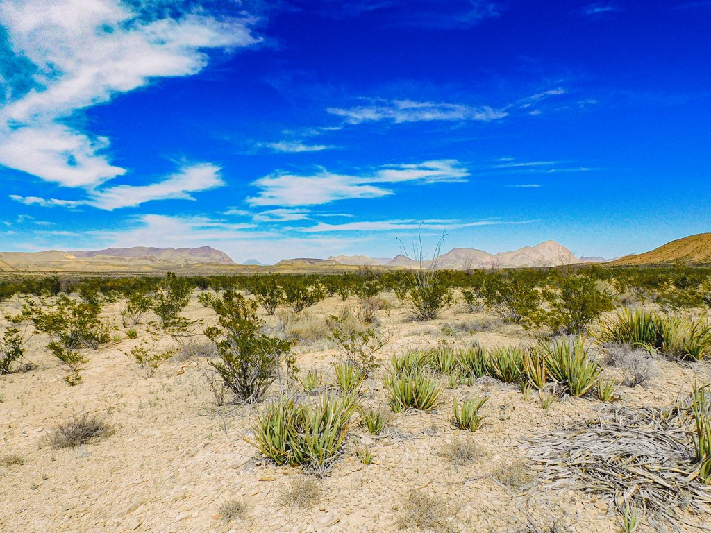 145 Blue Ridge Rd, Terlingua, Texas image 49