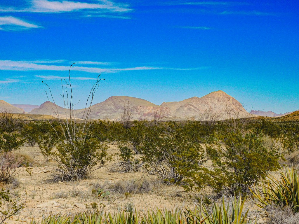 145 Blue Ridge Rd, Terlingua, Texas image 50