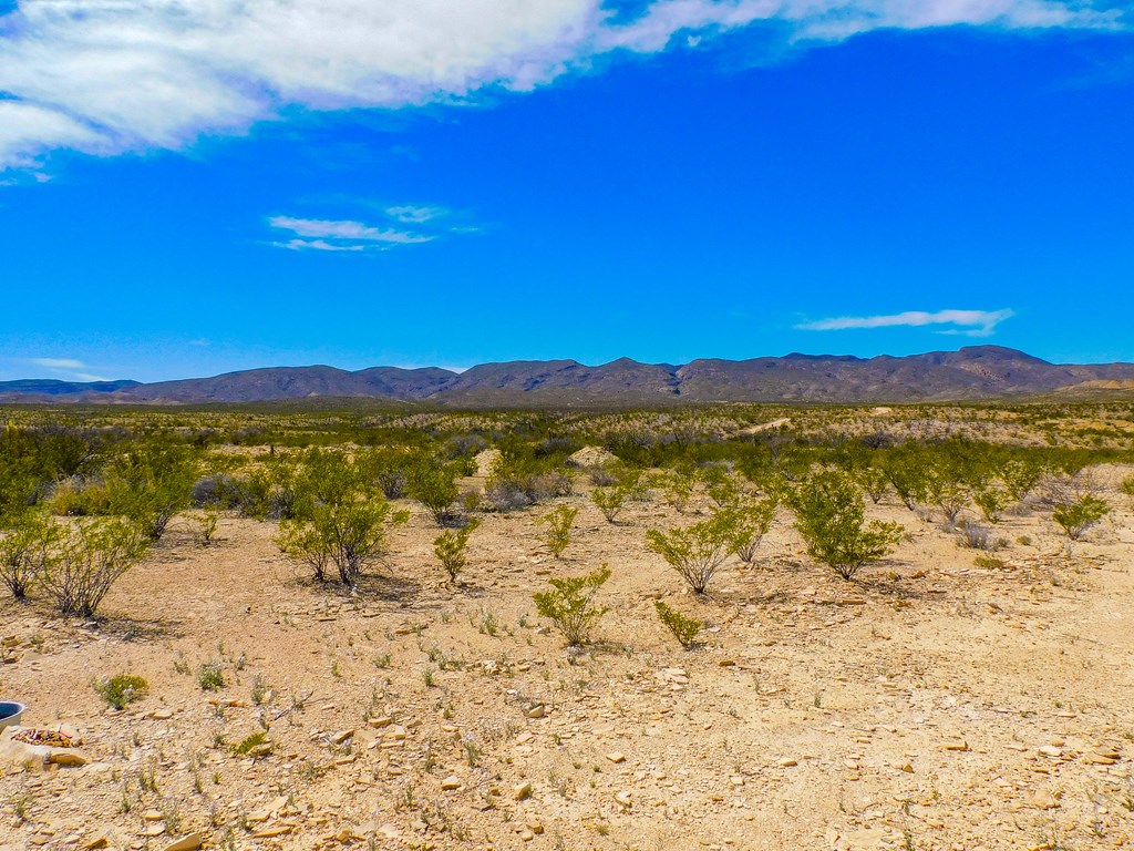 145 Blue Ridge Rd, Terlingua, Texas image 40