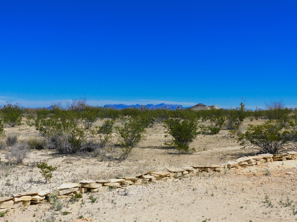 145 Blue Ridge Rd, Terlingua, Texas image 34