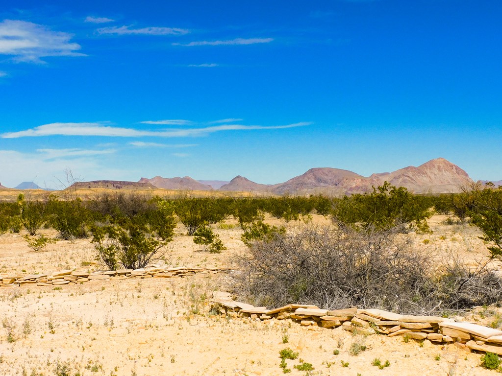 145 Blue Ridge Rd, Terlingua, Texas image 31