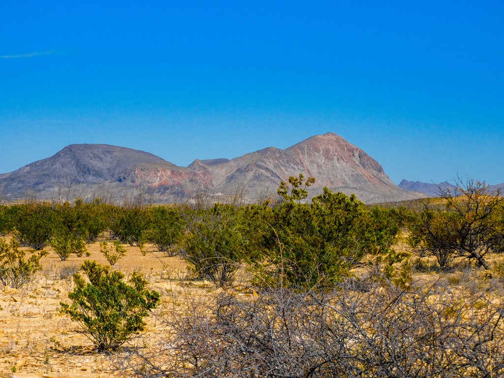 145 Blue Ridge Rd, Terlingua, Texas image 23