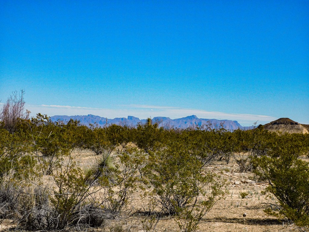 145 Blue Ridge Rd, Terlingua, Texas image 33