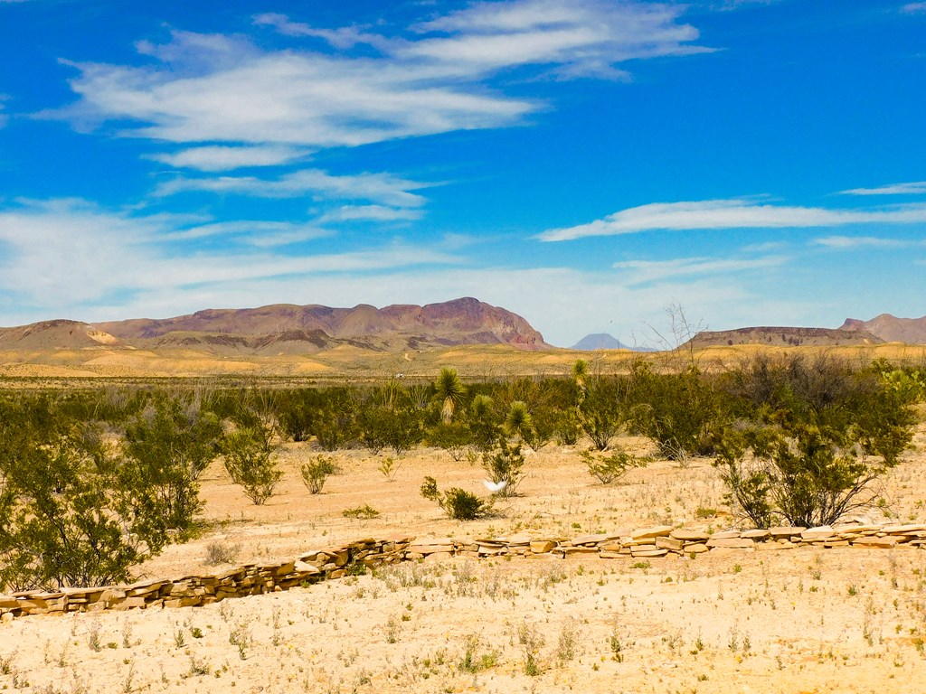 145 Blue Ridge Rd, Terlingua, Texas image 25