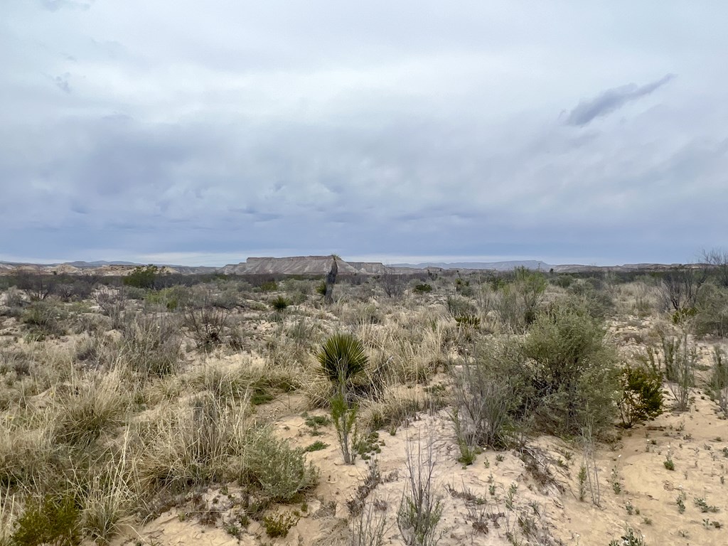 F726 San Angelo Rd, Terlingua, Texas image 5