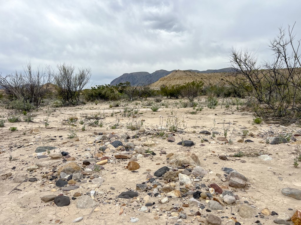 F726 San Angelo Rd, Terlingua, Texas image 17