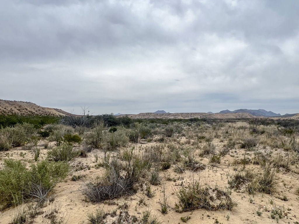 F726 San Angelo Rd, Terlingua, Texas image 8