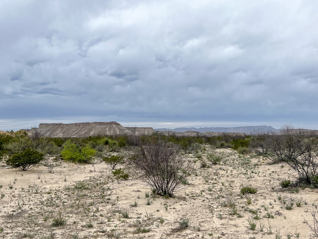 F726 San Angelo Rd, Terlingua, Texas image 16