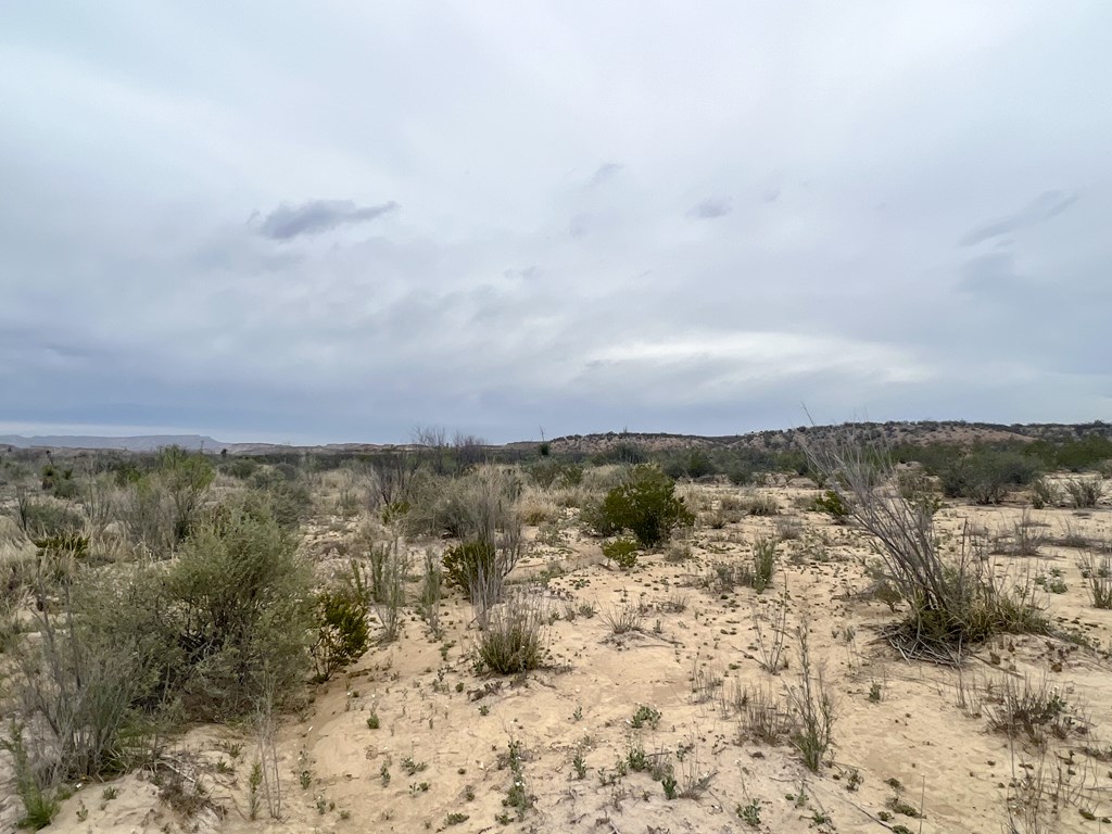 F726 San Angelo Rd, Terlingua, Texas image 6