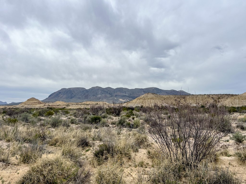 F726 San Angelo Rd, Terlingua, Texas image 9