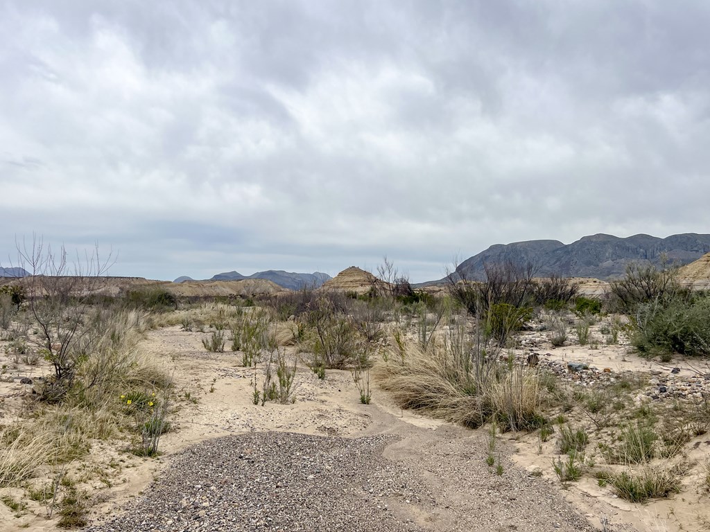 F726 San Angelo Rd, Terlingua, Texas image 11