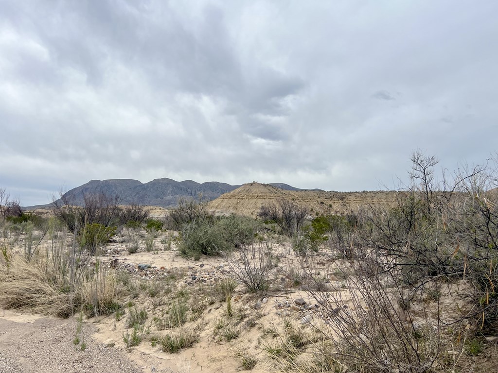 F726 San Angelo Rd, Terlingua, Texas image 12