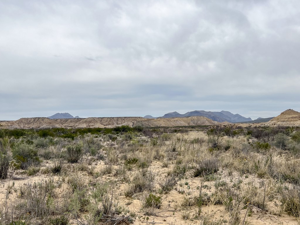 F726 San Angelo Rd, Terlingua, Texas image 10