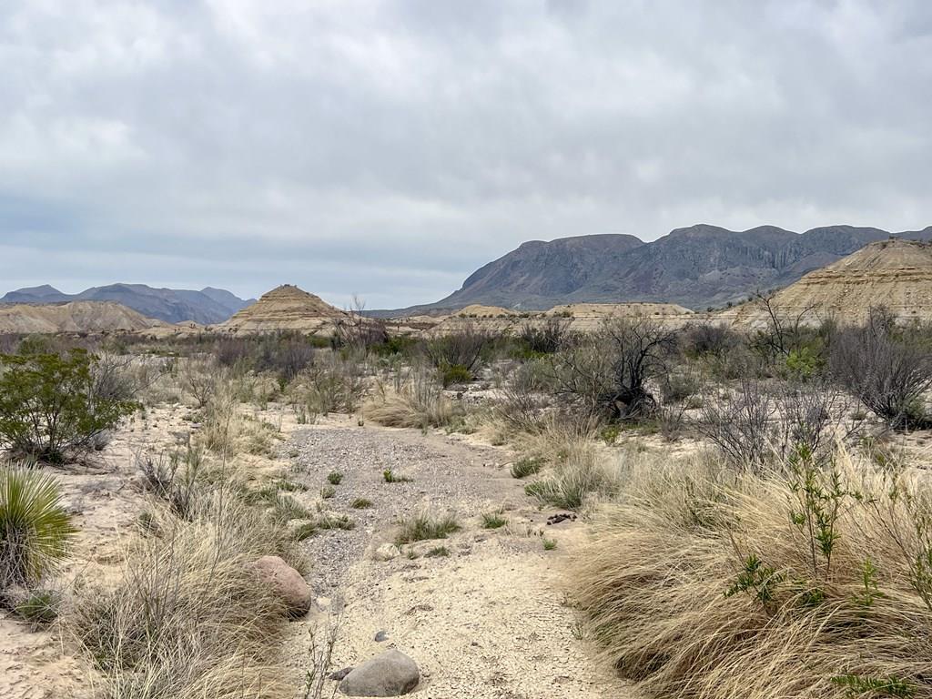 F726 San Angelo Rd, Terlingua, Texas image 1