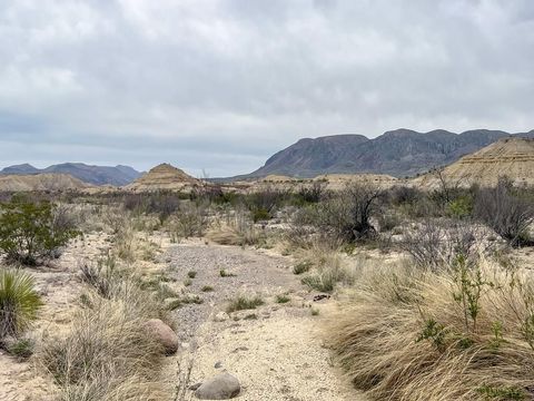 Vacant Land For Sale - F726 San Angelo Rd<br/> Brewster County, Terlingua, TX 79852