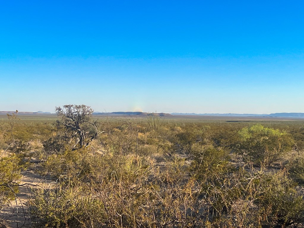 25-3 S Hwy 118, Alpine, Texas image 10