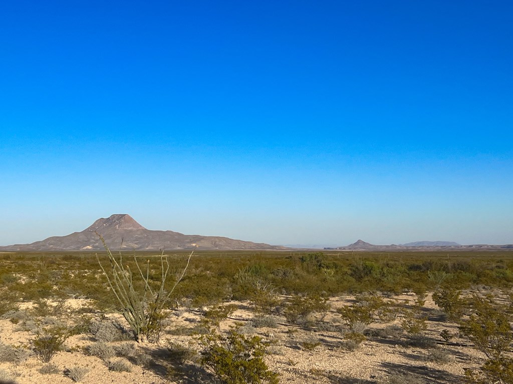 25-3 S Hwy 118, Alpine, Texas image 11