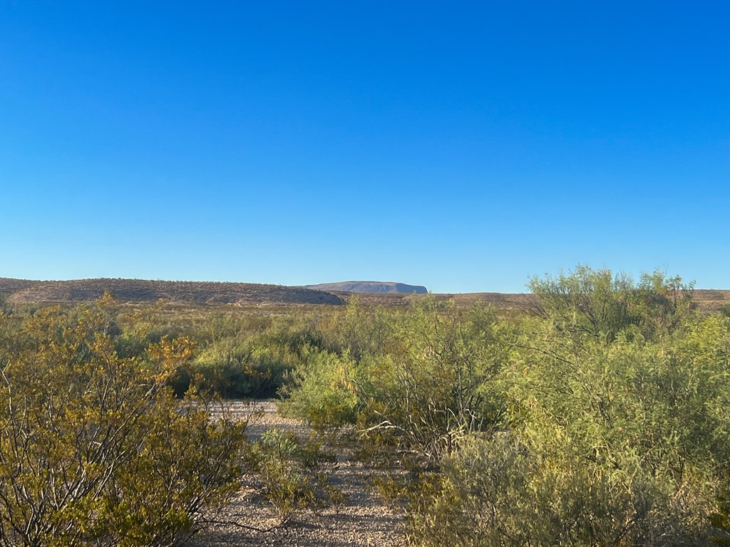 25-3 S Hwy 118, Alpine, Texas image 3