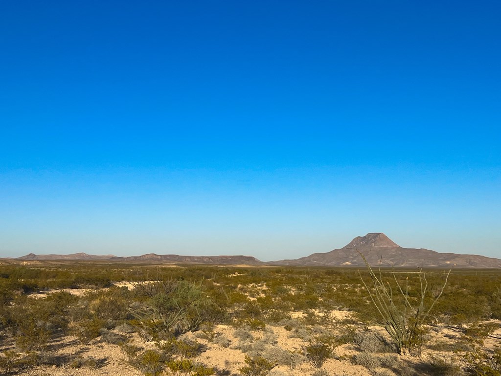 25-3 S Hwy 118, Alpine, Texas image 8