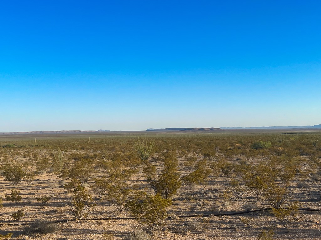 25-3 S Hwy 118, Alpine, Texas image 9