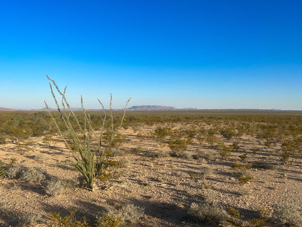 25-3 S Hwy 118, Alpine, Texas image 2