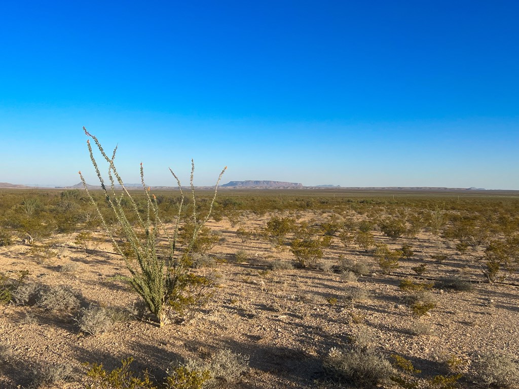 25-3 S Hwy 118, Alpine, Texas image 7