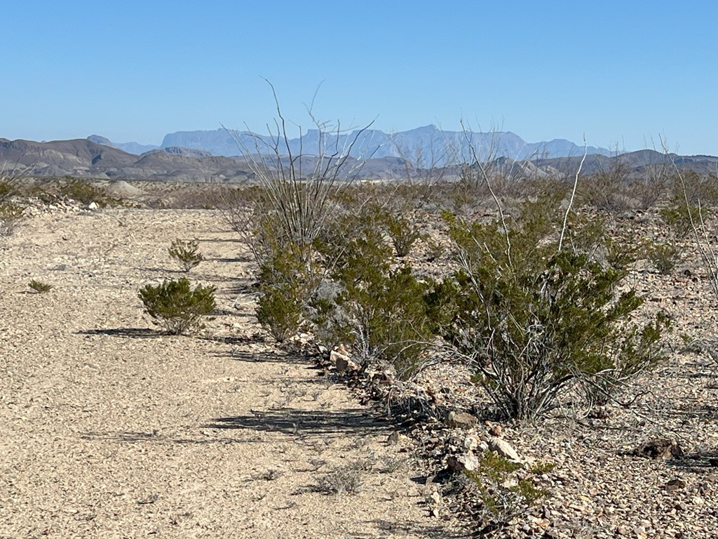 26946 Creekview, Terlingua, Texas image 8