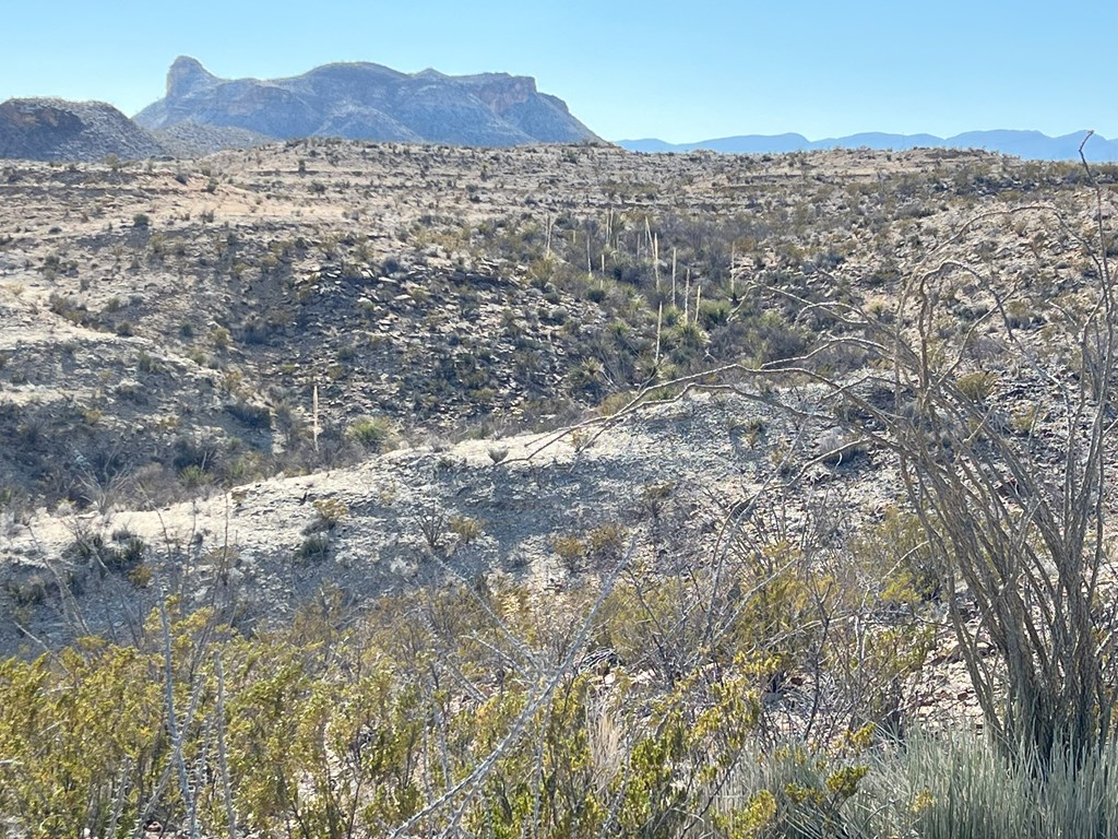 26946 Creekview, Terlingua, Texas image 14