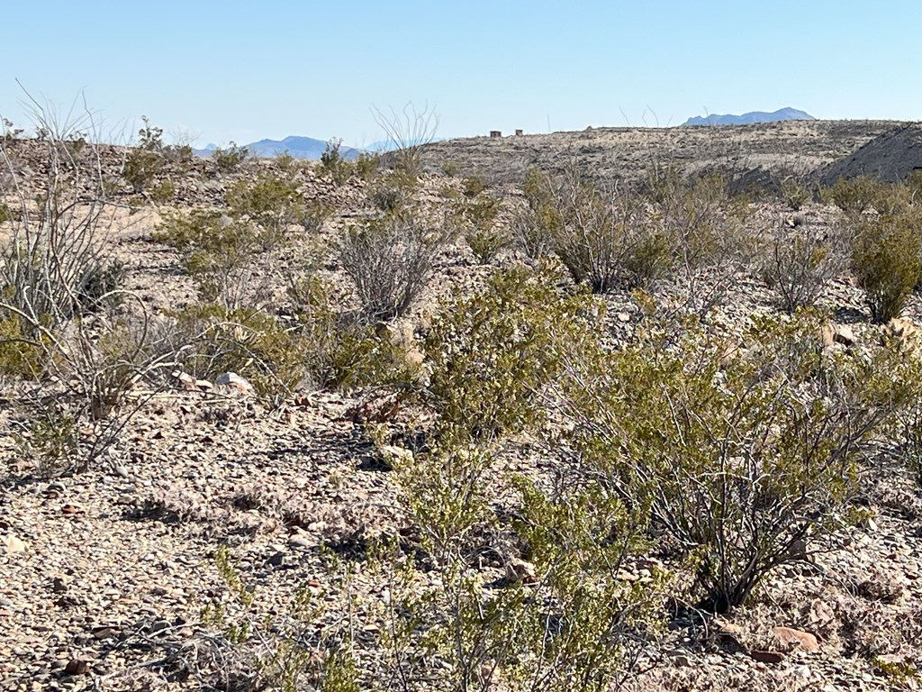 26946 Creekview, Terlingua, Texas image 9