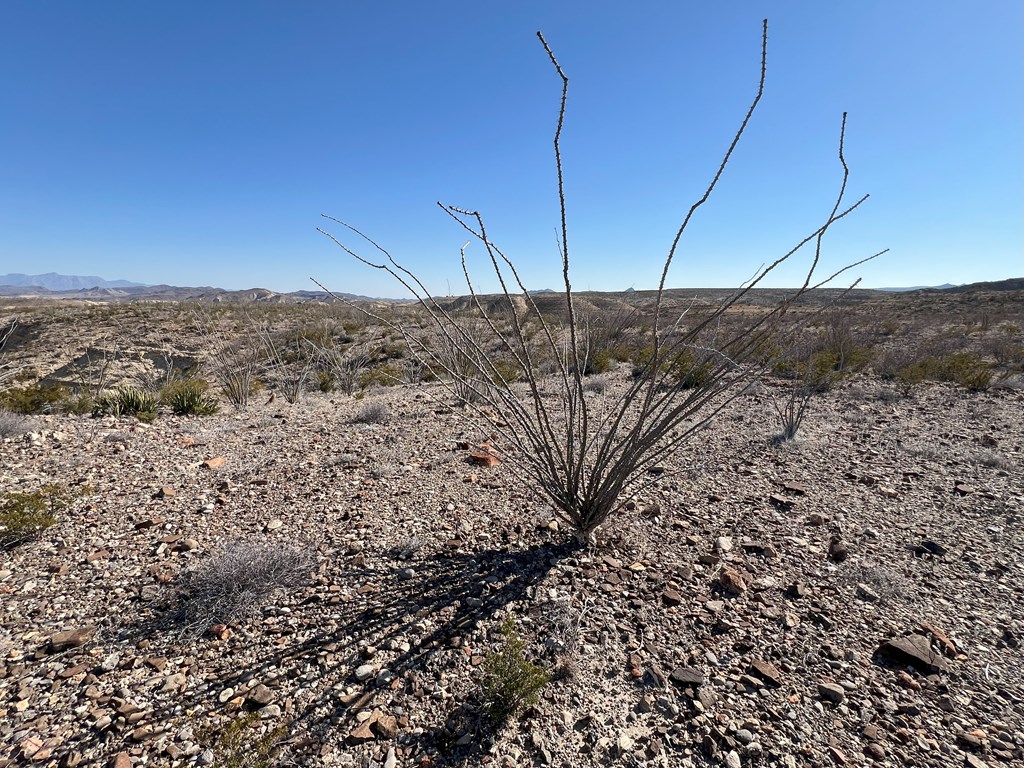 26946 Creekview, Terlingua, Texas image 20