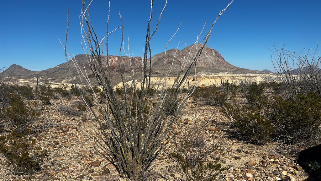 26946 Creekview, Terlingua, Texas image 1