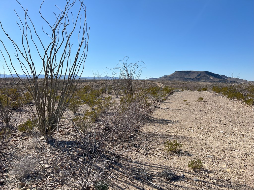 26946 Creekview, Terlingua, Texas image 3