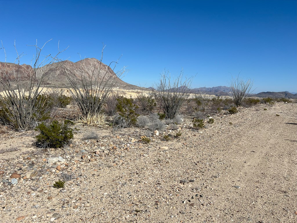 26946 Creekview, Terlingua, Texas image 7