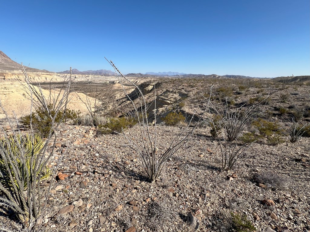 26946 Creekview, Terlingua, Texas image 21