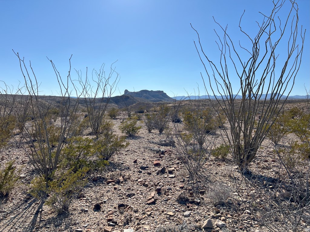 26946 Creekview, Terlingua, Texas image 2